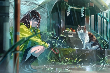 爷爷养过的猫