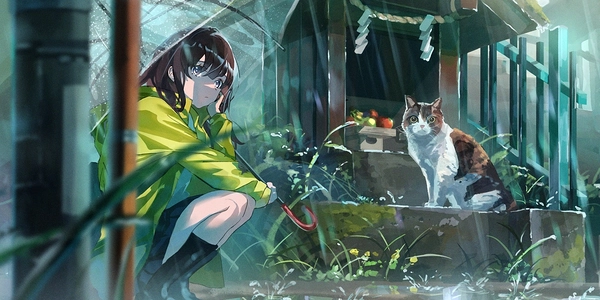 爷爷养过的猫