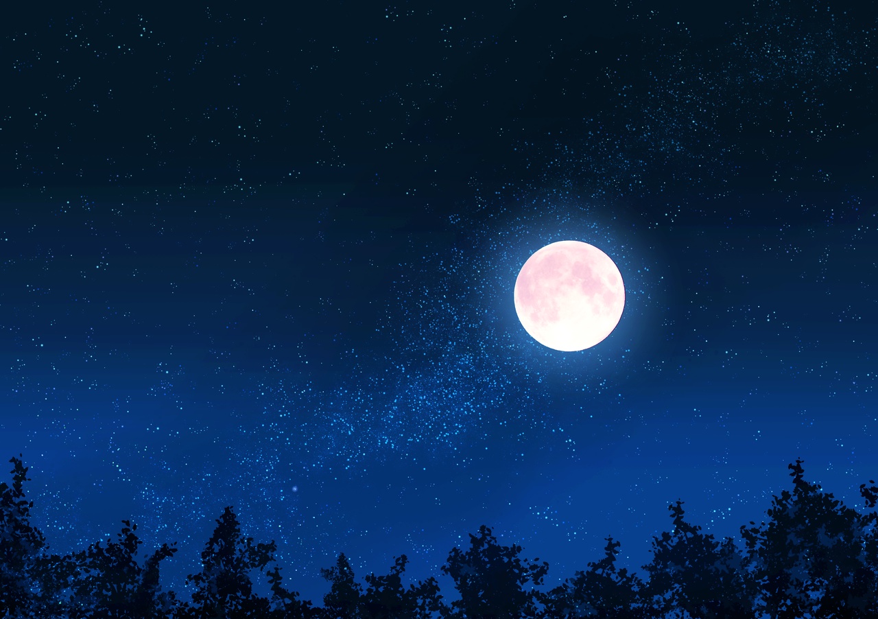 月夜 - ねね