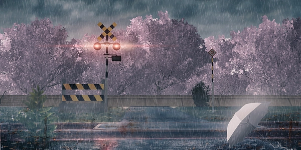 8月的雨