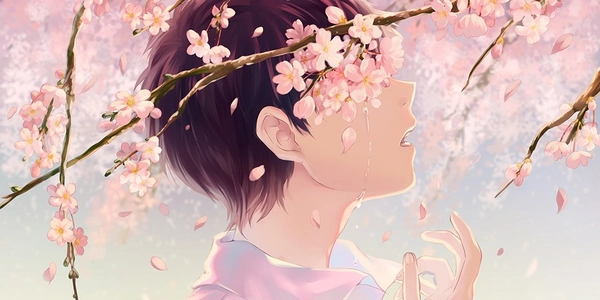 樱花谢了