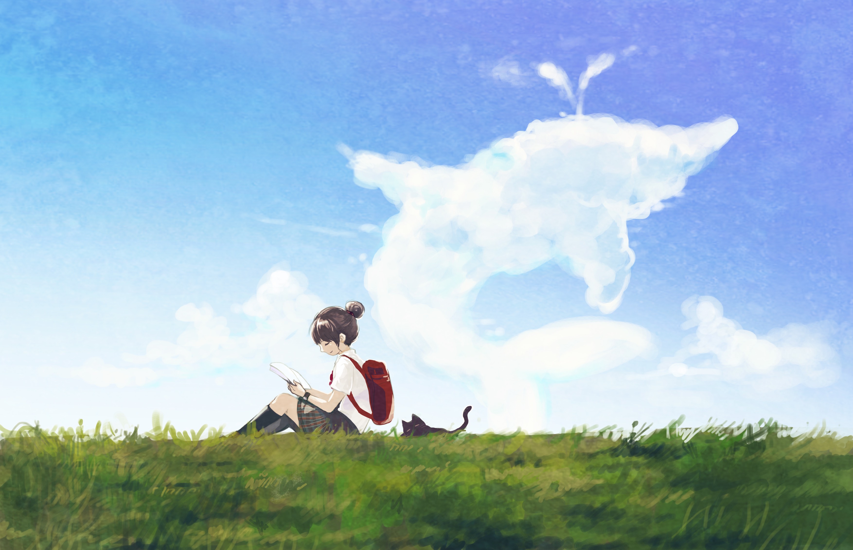 イルカの雲