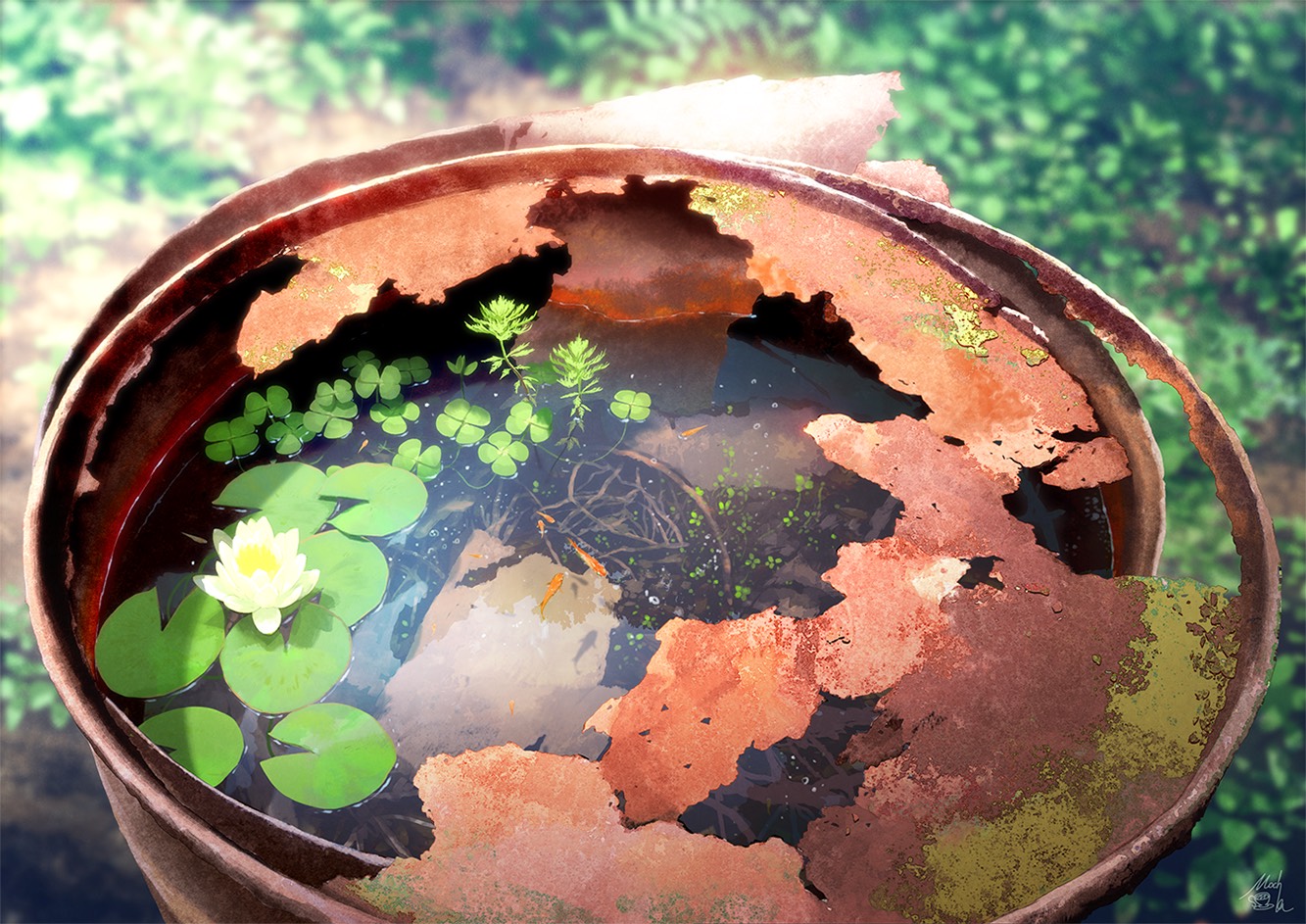 mocha ドラム水槽