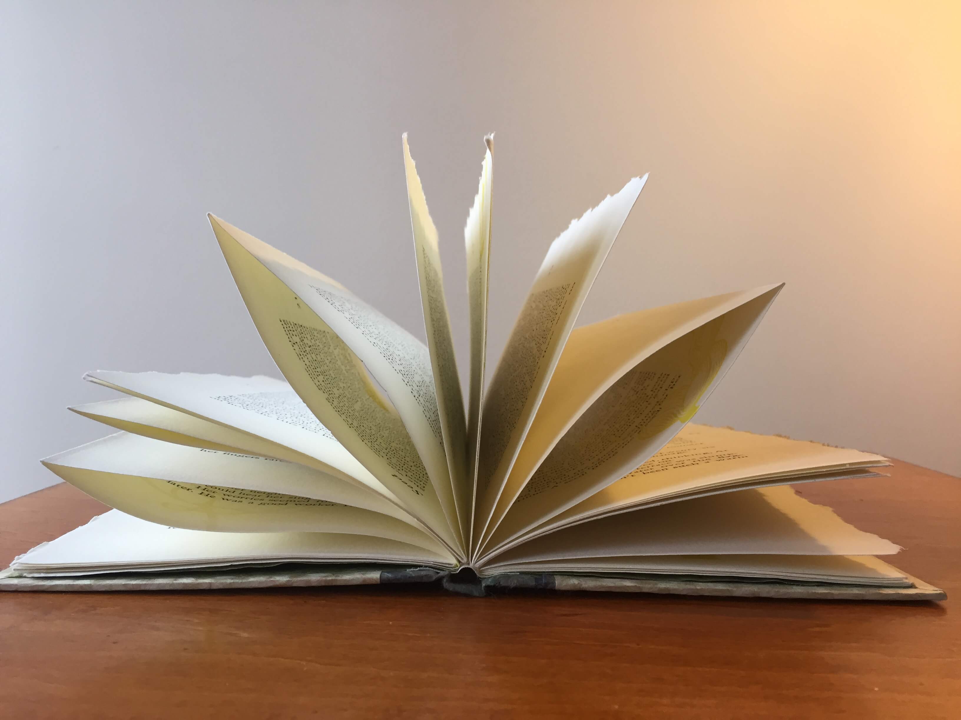 unopened book pages