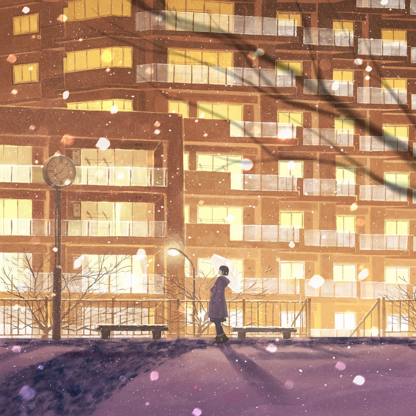雪灯る夜