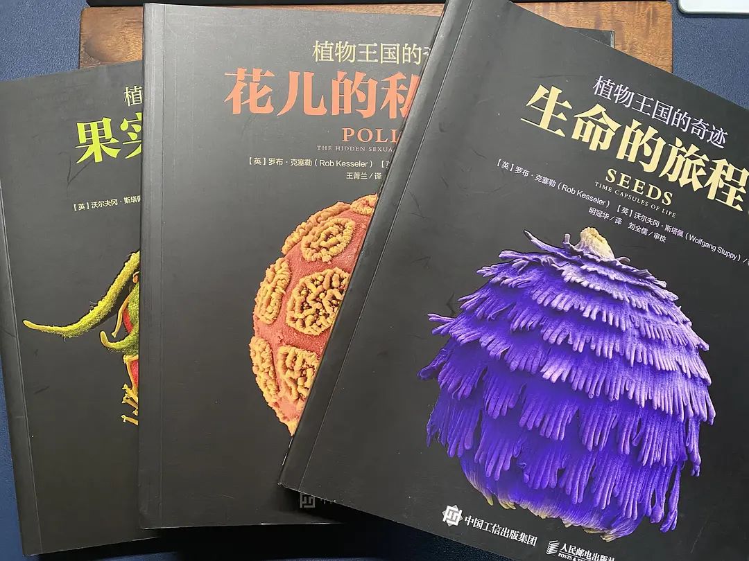 植物王国的奇迹