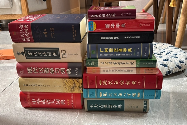 难以割舍的纸质词典