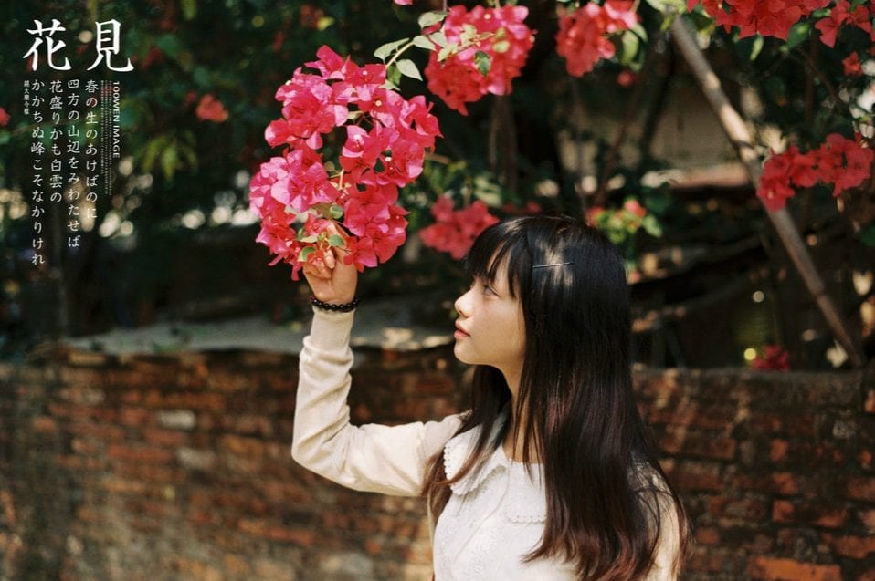 夏至未至