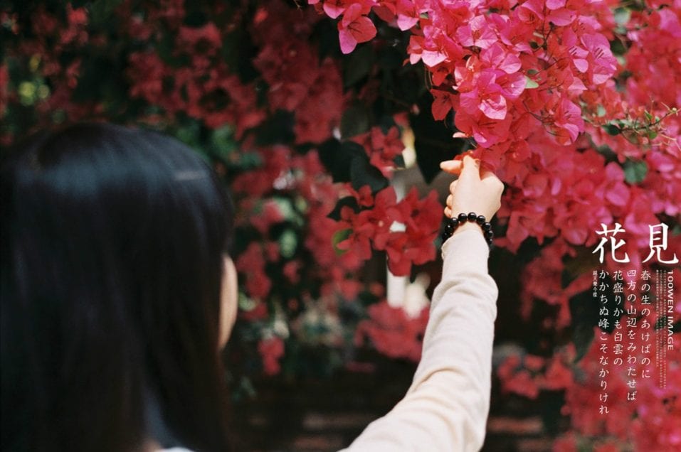 花见2