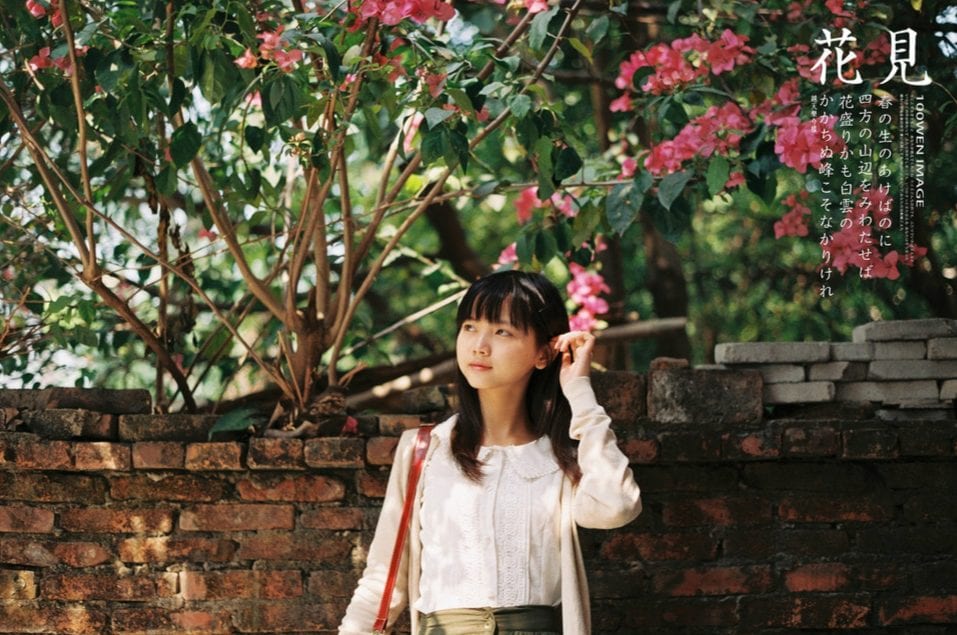花见3