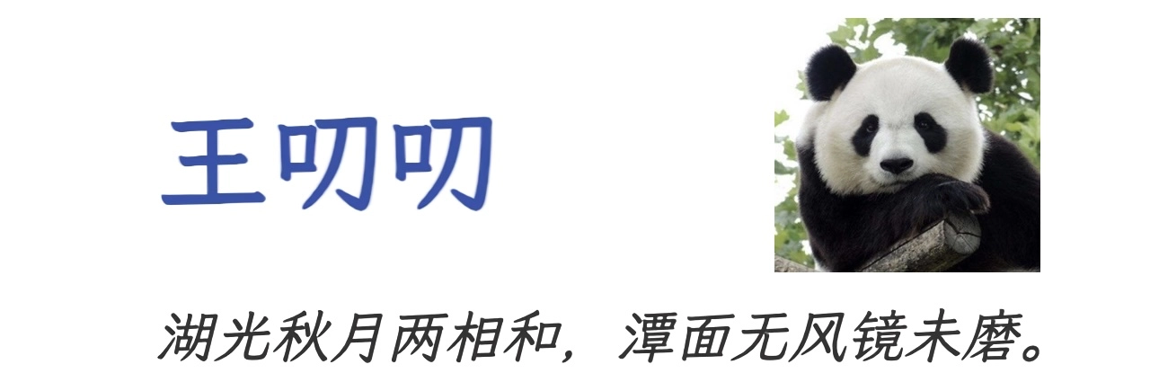 王叨叨